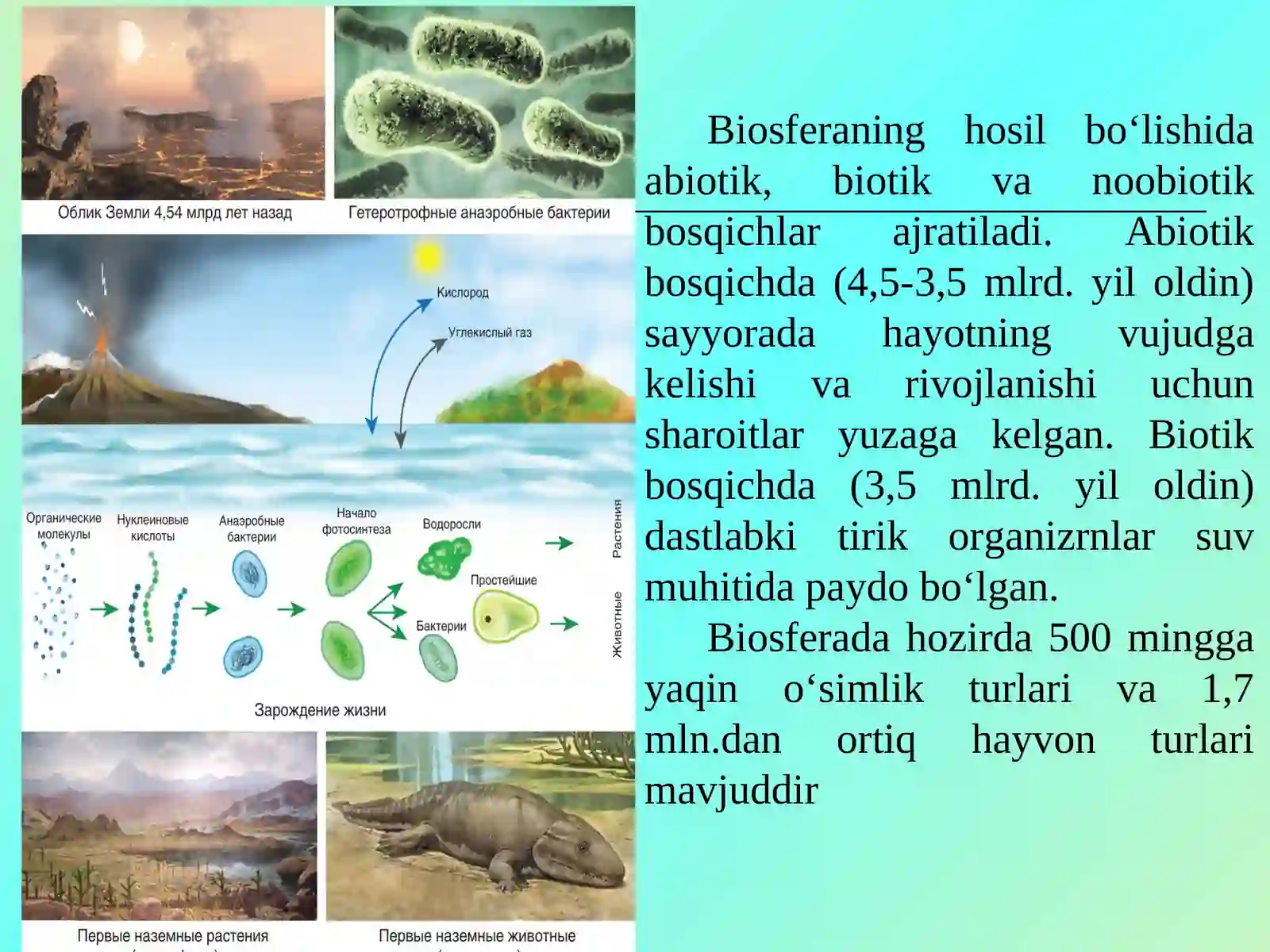 Biosfera va noosfera ta’limoti 3