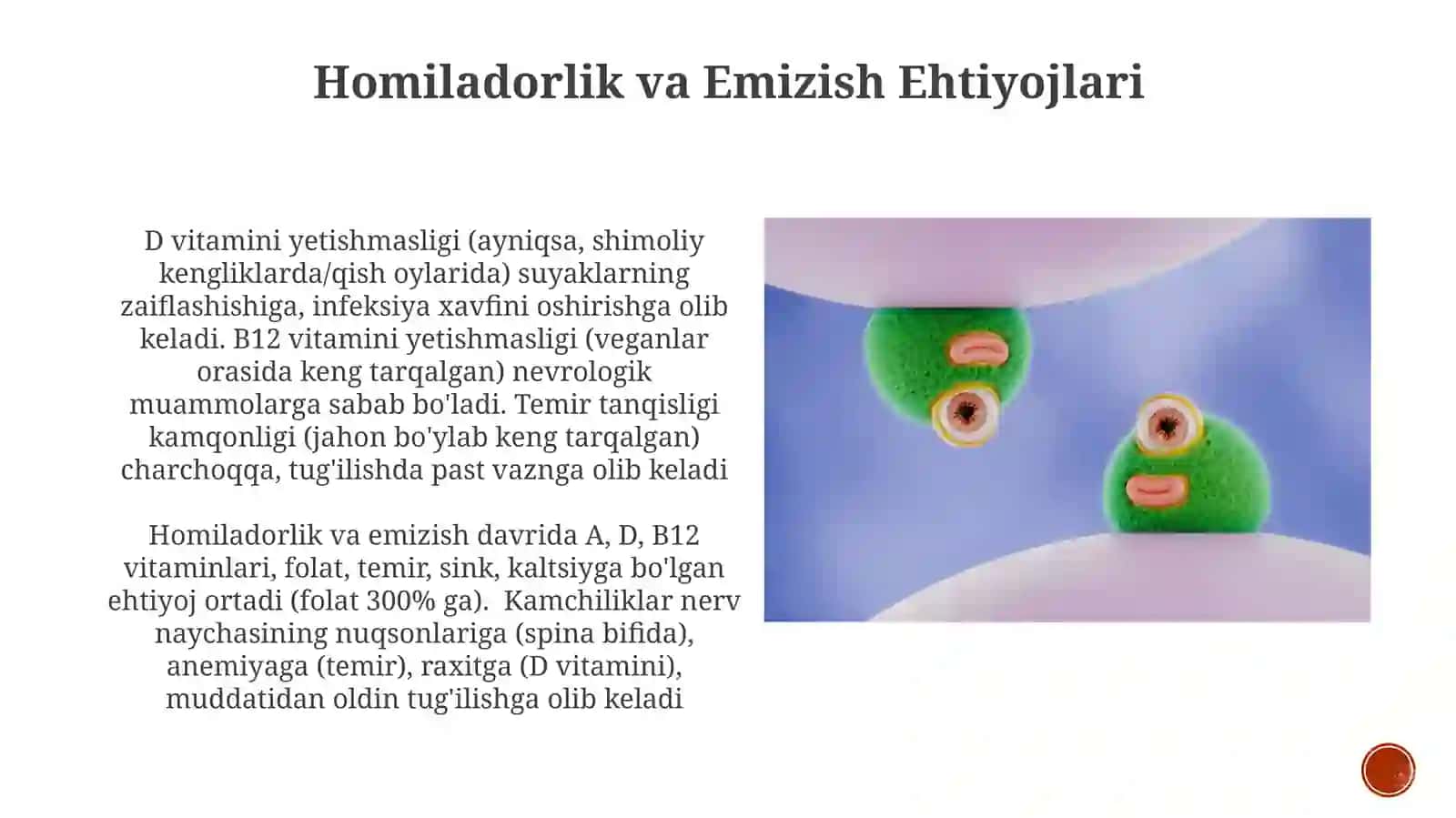 Alimentaravitaminozlarningkelibchiqishsabablarivaprofilaktikasi 3