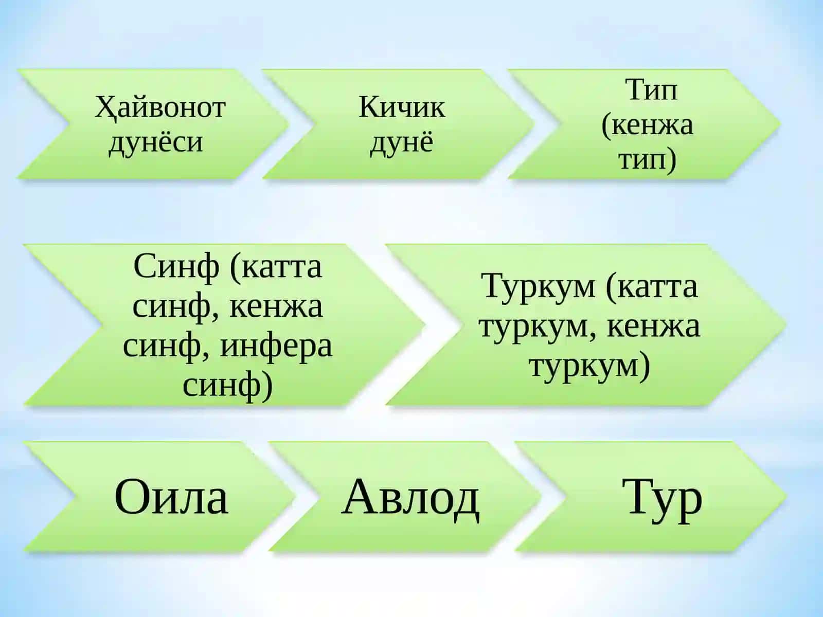Ўзбекистон фаунасининг ҳилма-хиллик ҳолати ва қисқариш сабаблари 3