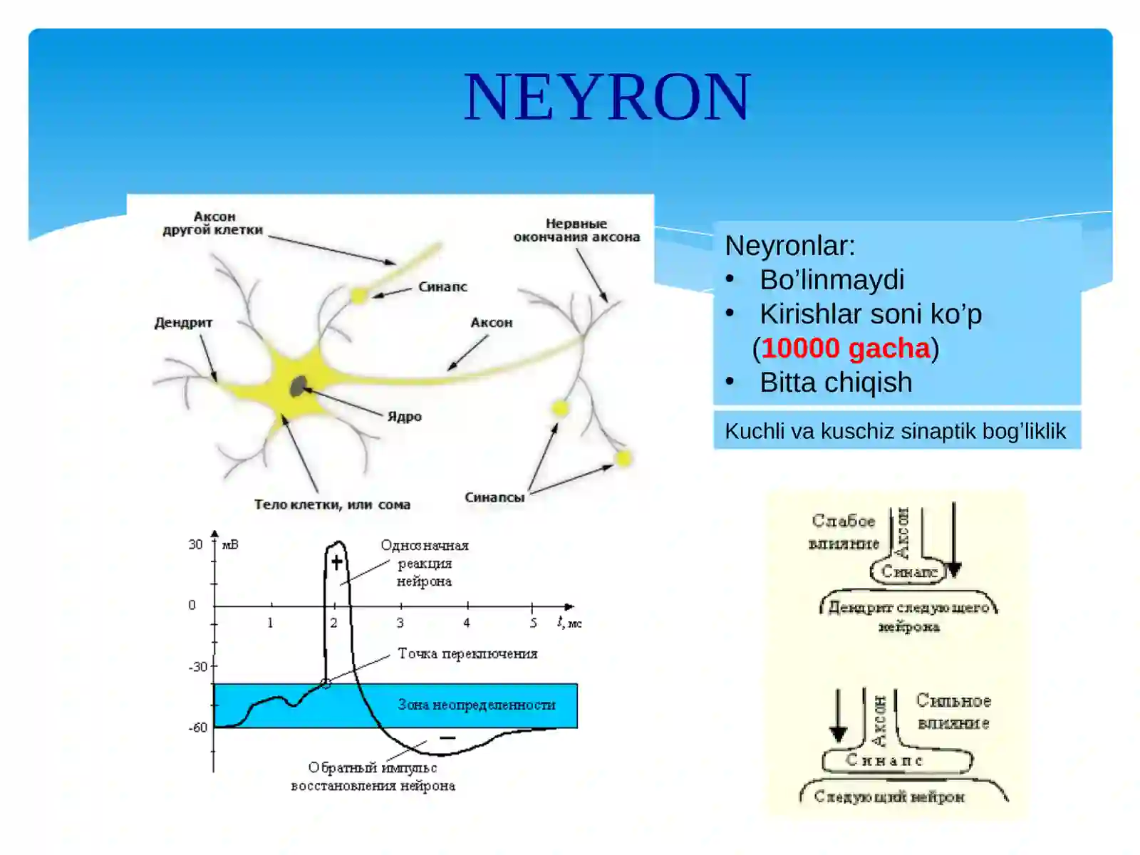 SUN’IY INTELLEKT VA NEYRON TO‘RLI TEXNOLOGIYALAR 3