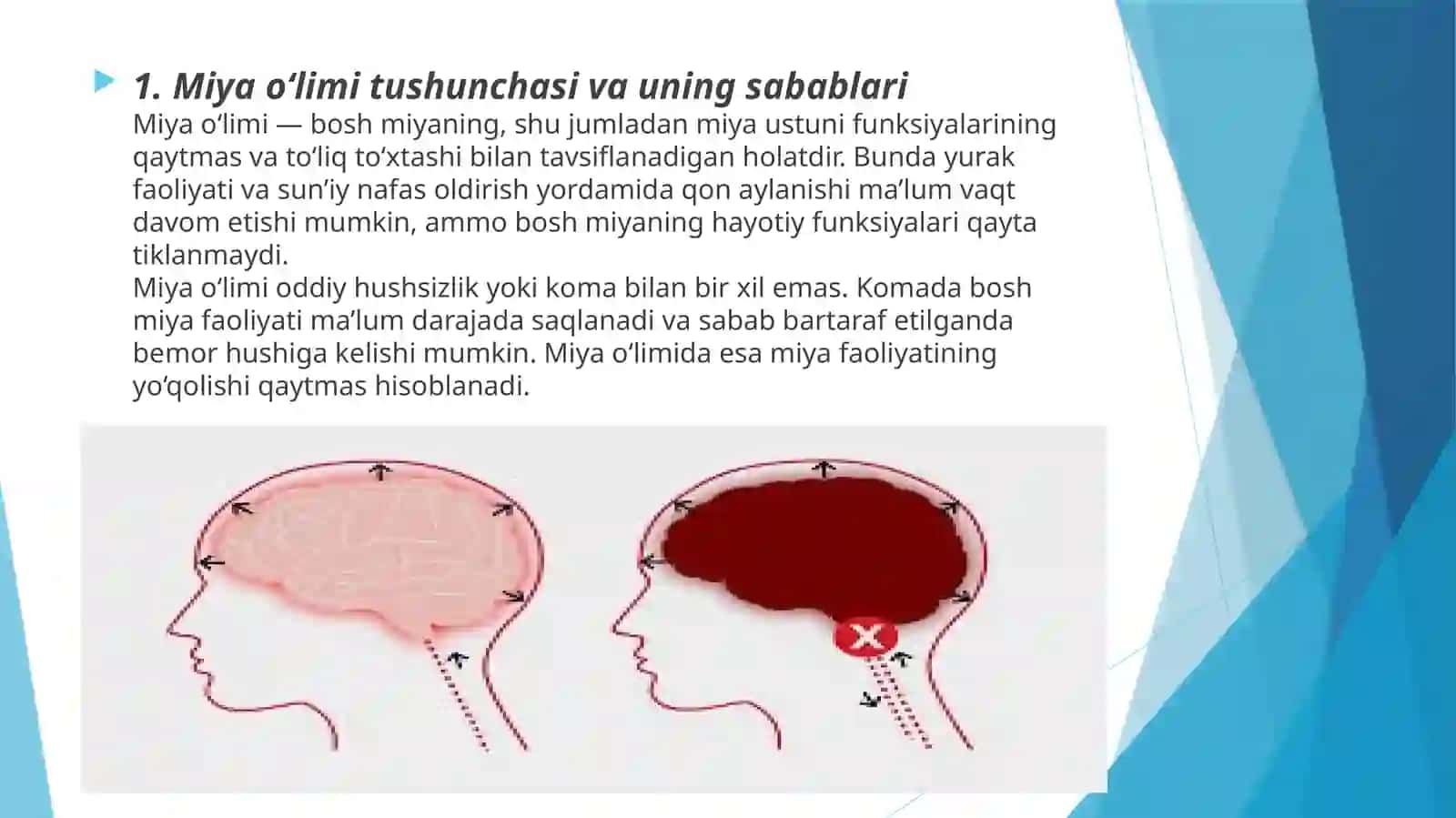 MIYA O‘LIMINING DIAGNOSTIKASI 3
