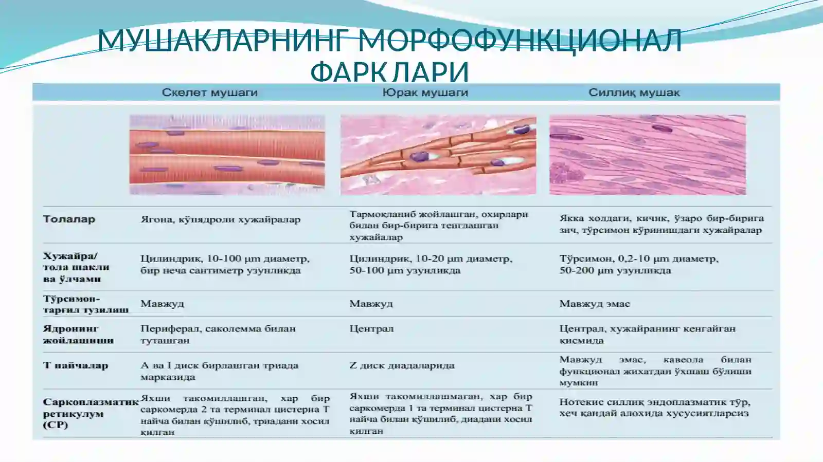 МУШАК ТЎҚИМАСИНИНГ ҲИЛЛАРИ 3