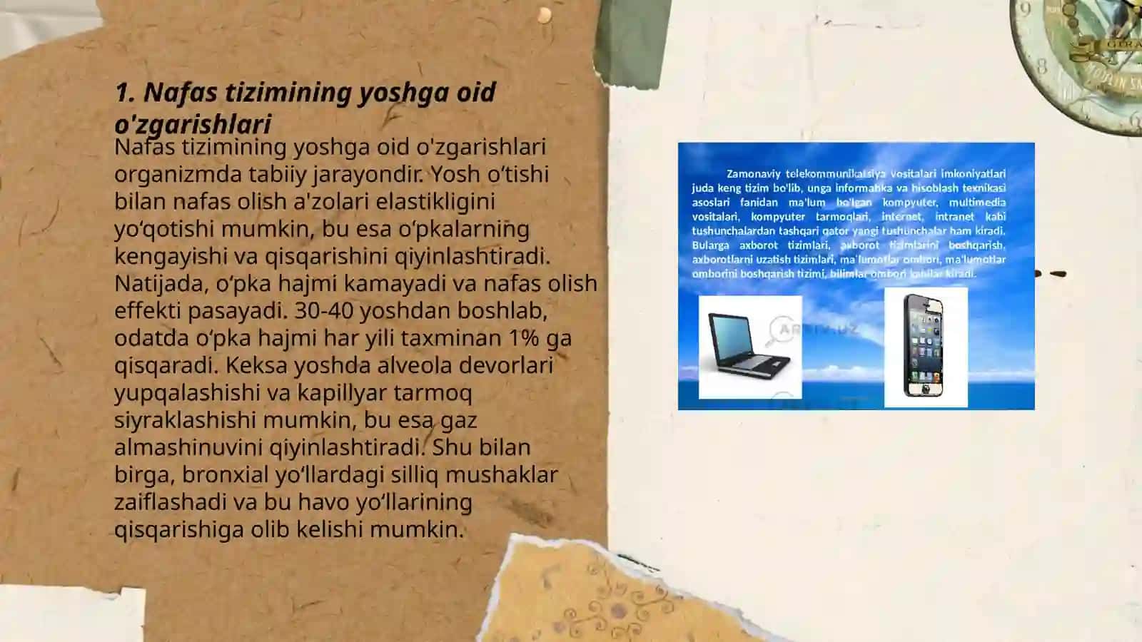 Nafas tizimining yoshga oid fiziologiyasi va gigiyenasi 3