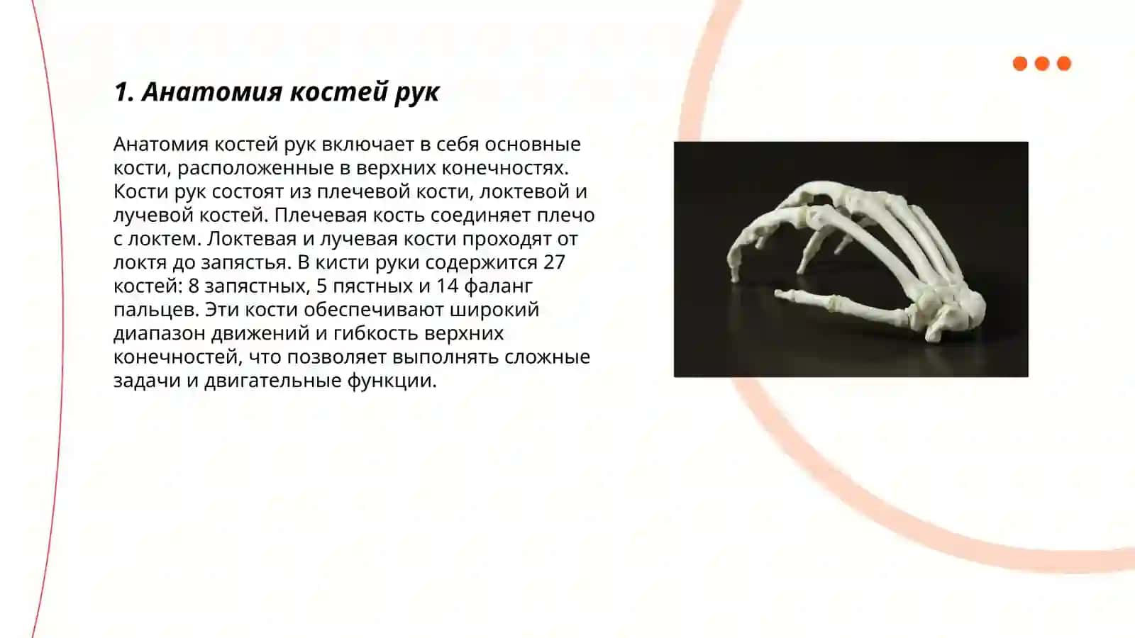 Qo'l oyoq suyaklari 3