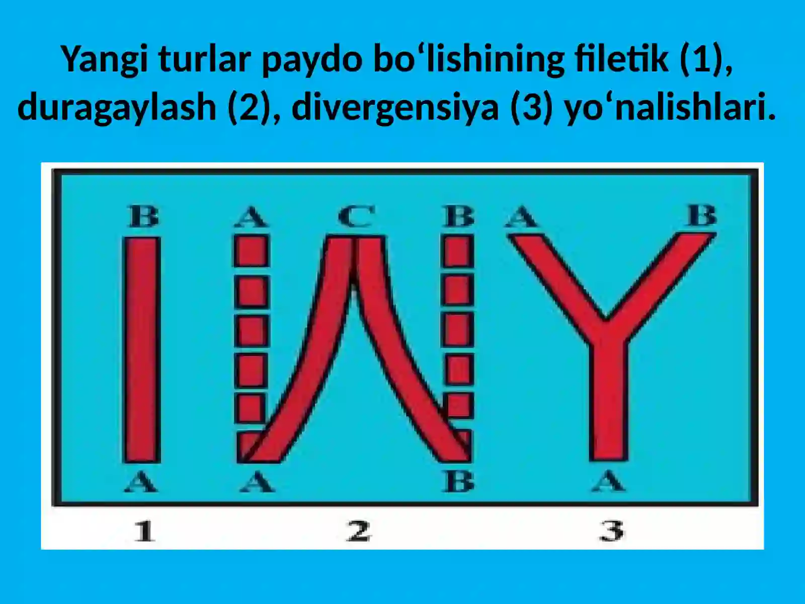 TURLARNING PAYDO BO‘LISHI 3