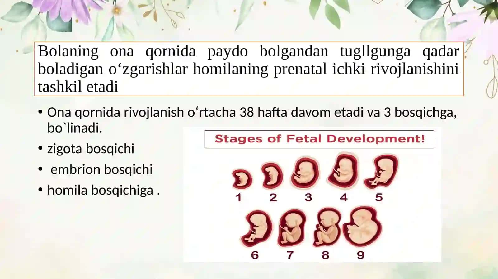 Ontogenezning ilkbosqichlari dapsixik rivojlanish xususiyatlar 3