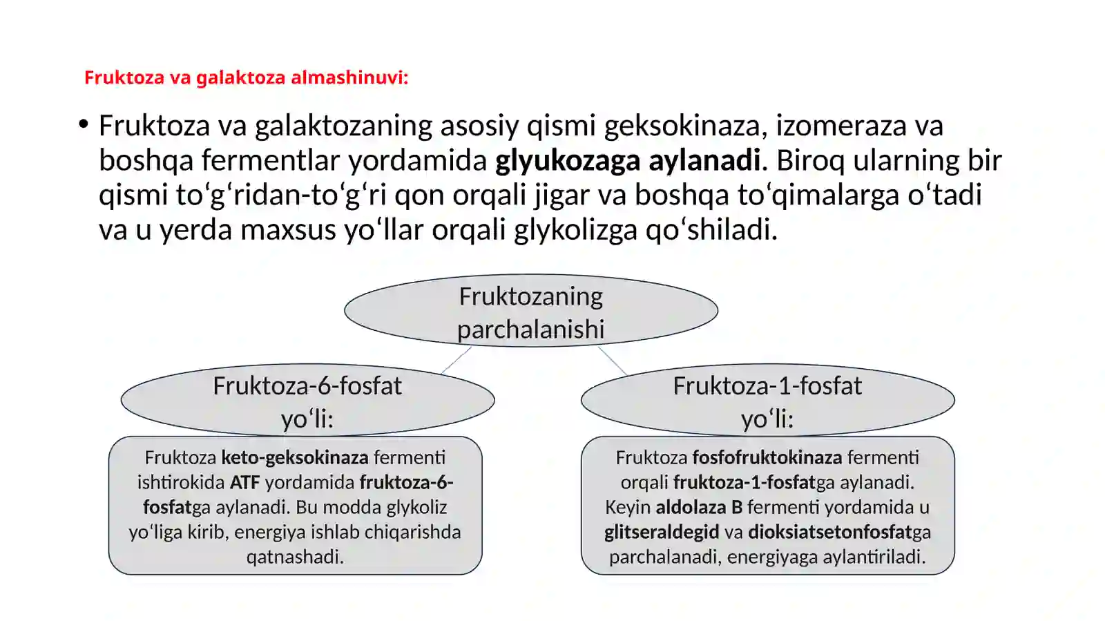 Glukoneogenez prezentatsiya 3