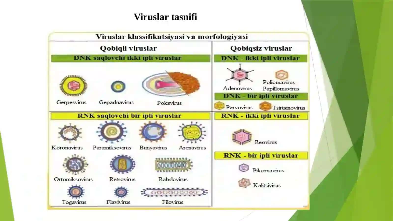Virusreplikatsiyasivaularnianiqlashusullari 3