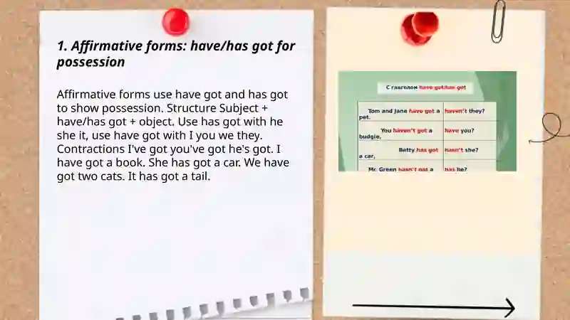 Have |has got 3