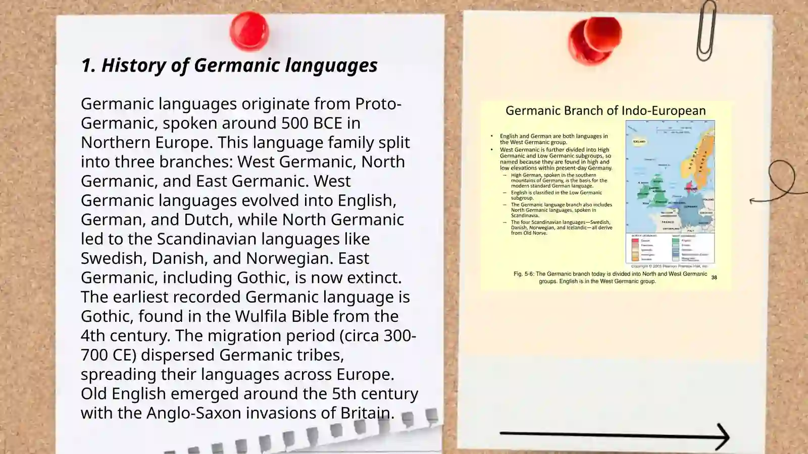 The Germanic Languages 3