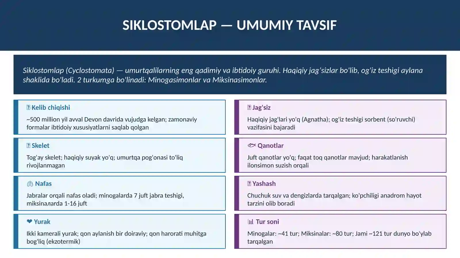 MINOGASIMONLAR VA MIKSINASIMONLAR 3