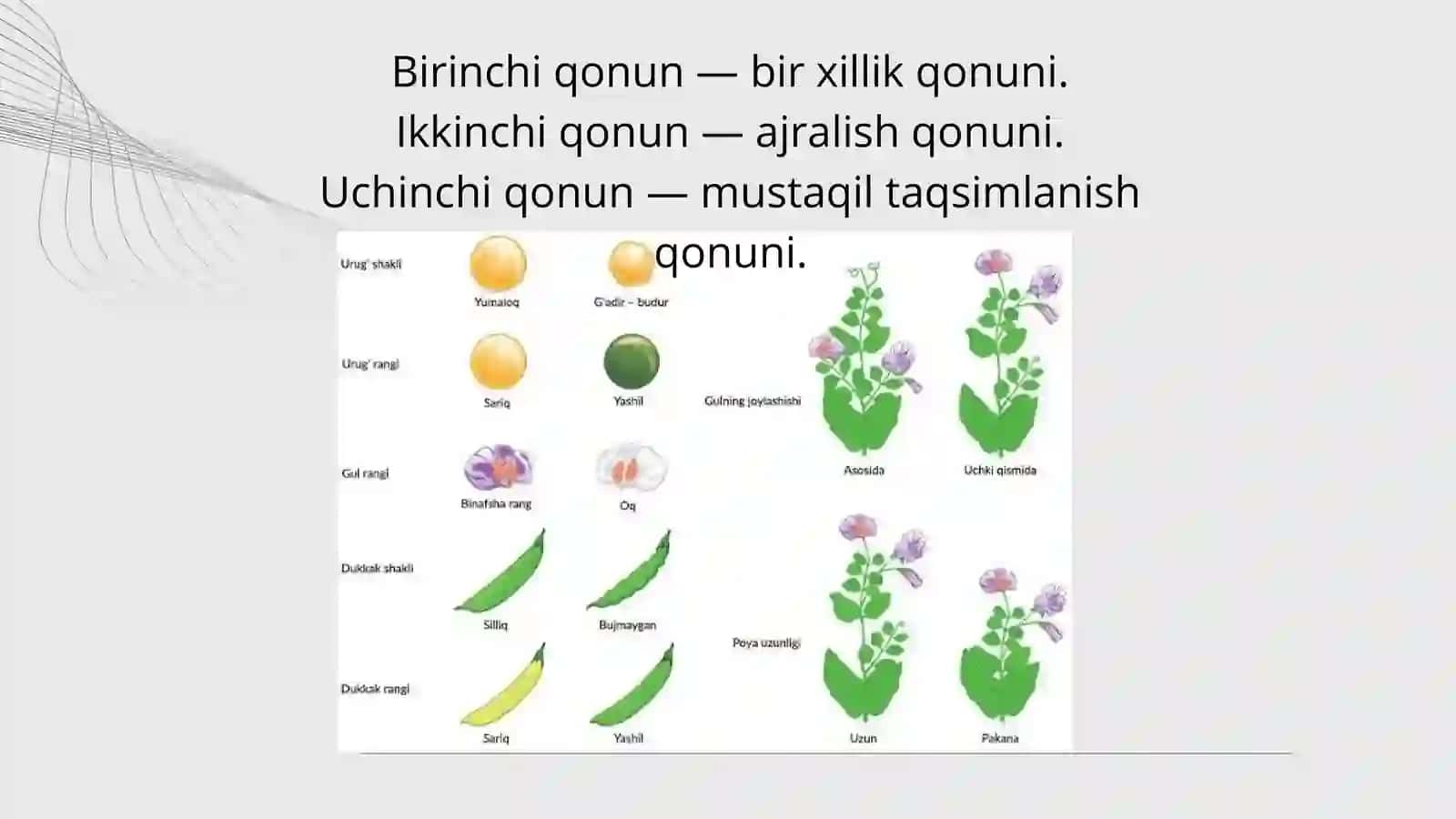 Belgilarning irsiylanish qonunlari.Irsiyat qonunlari. Genetik injeneriyaning tibbiyotdagi roli. Anti 3