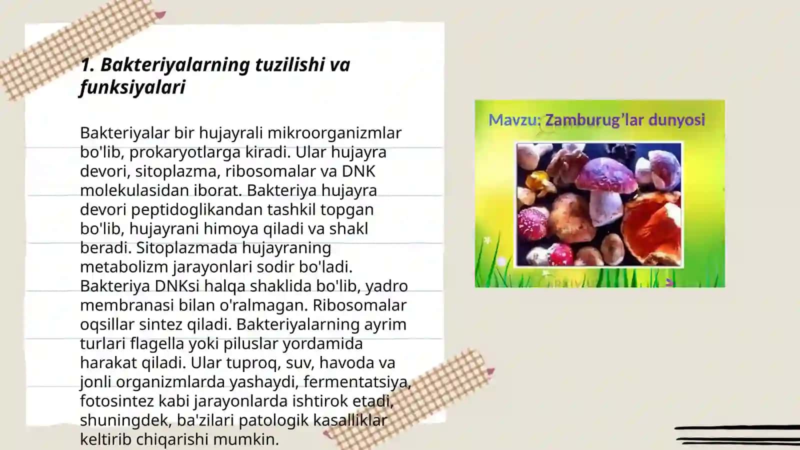 Bakteriyalar, viruslar va zamburug'lar va ularning tarqalishi 3