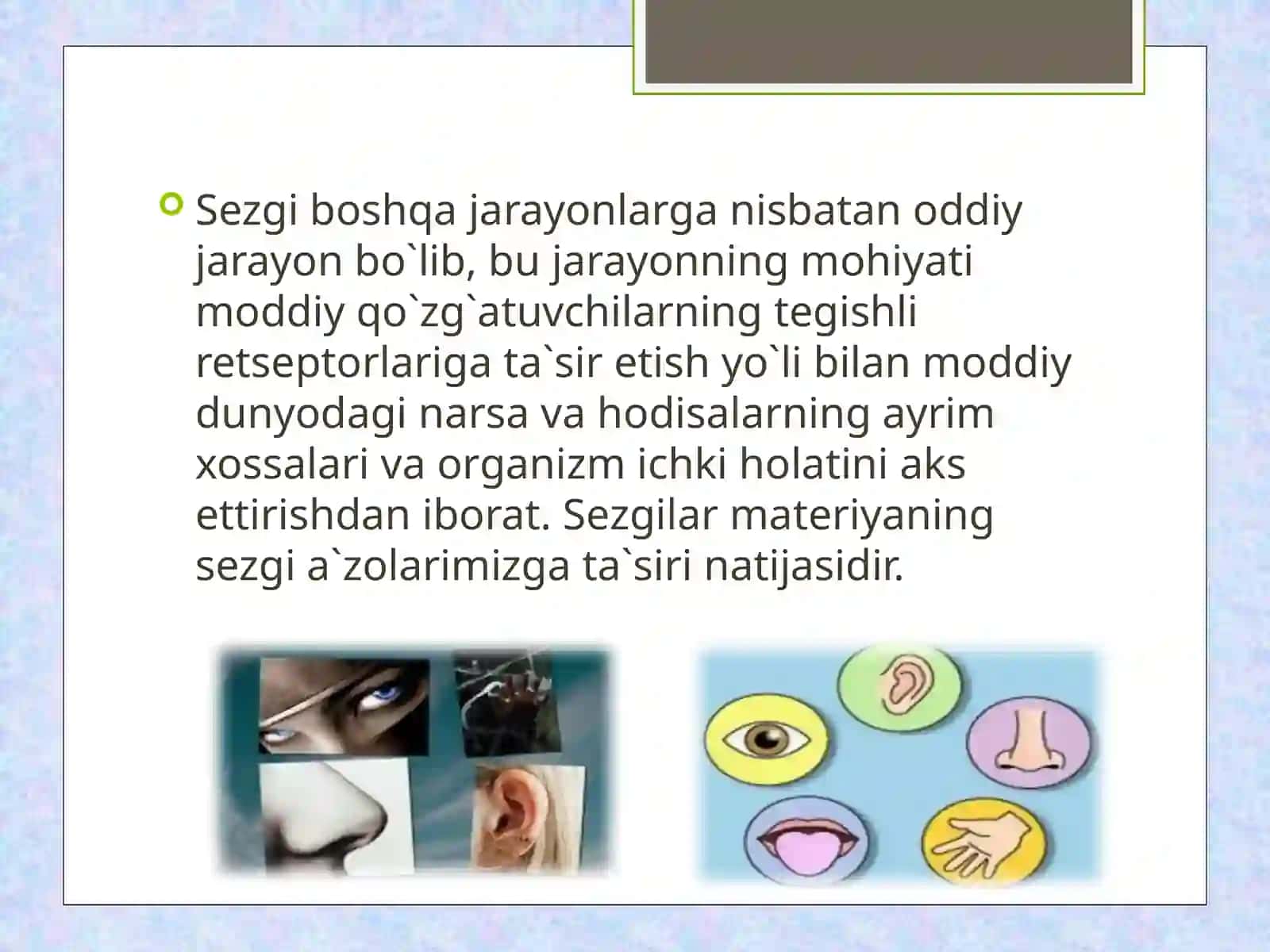 SEZGI 3