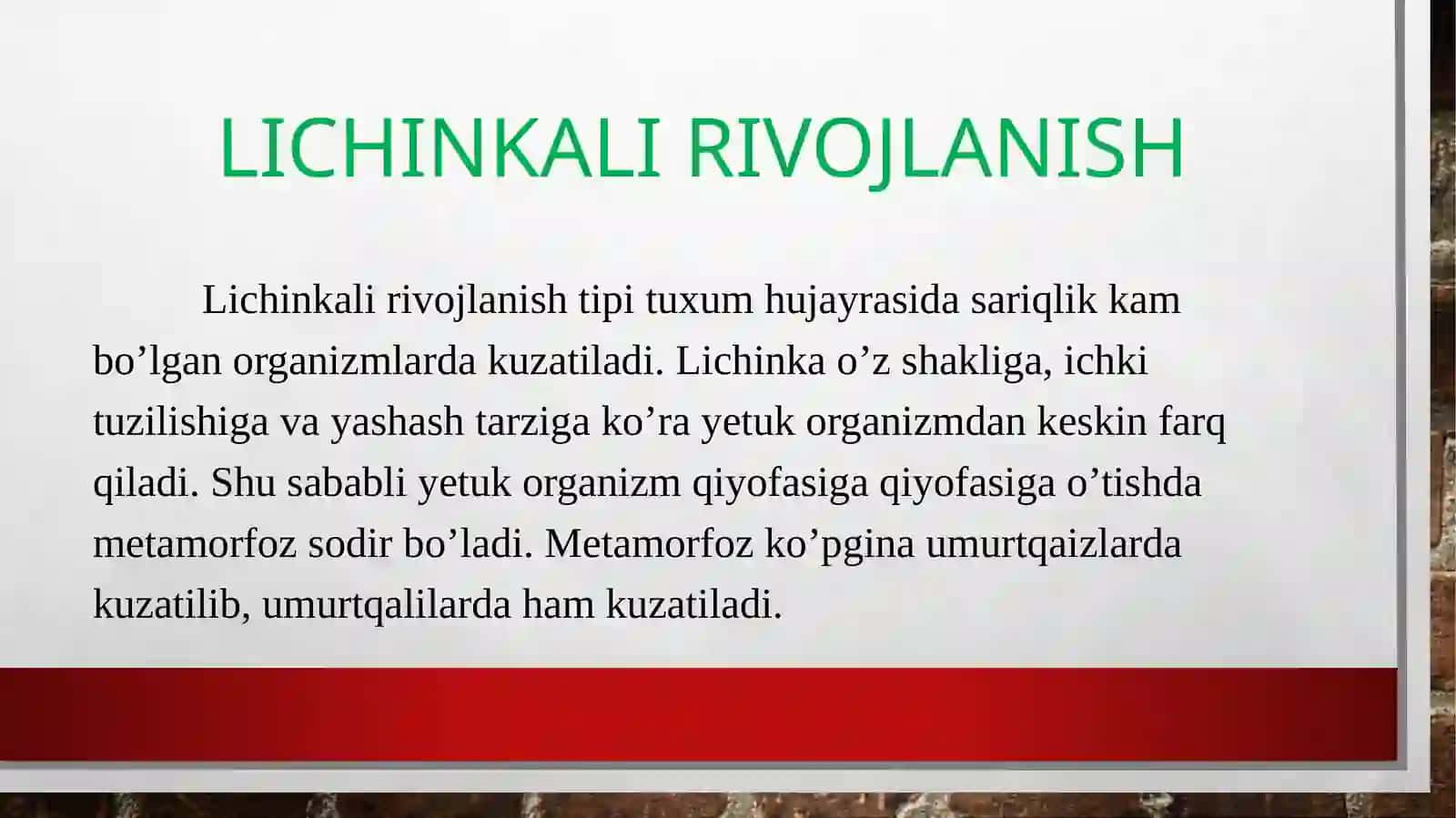 Ontogenez va uning turlari 3