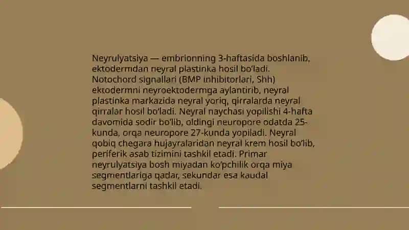 Neyrulyatsiya va neyral plastinka hosil bo‘lishi 3