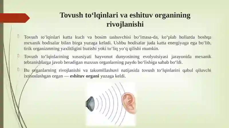 Eshitish organi innervatsiyasining xususiyatlari 3