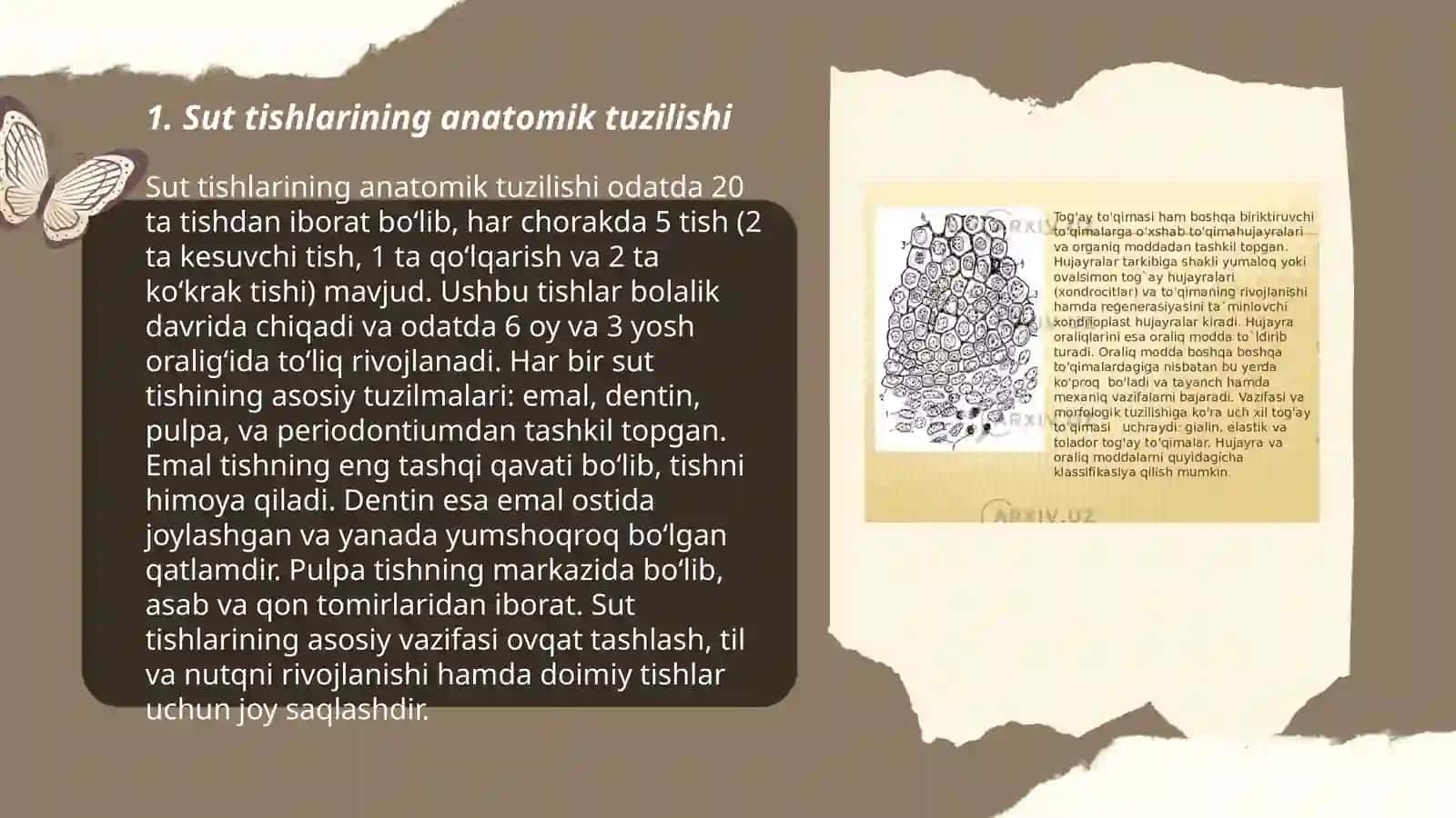 Sut va doimiy tishlarning anatomik, gistologik, to'gimalarining kimyoviy tuzilishi 3