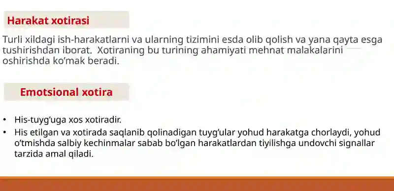 Xotira 3