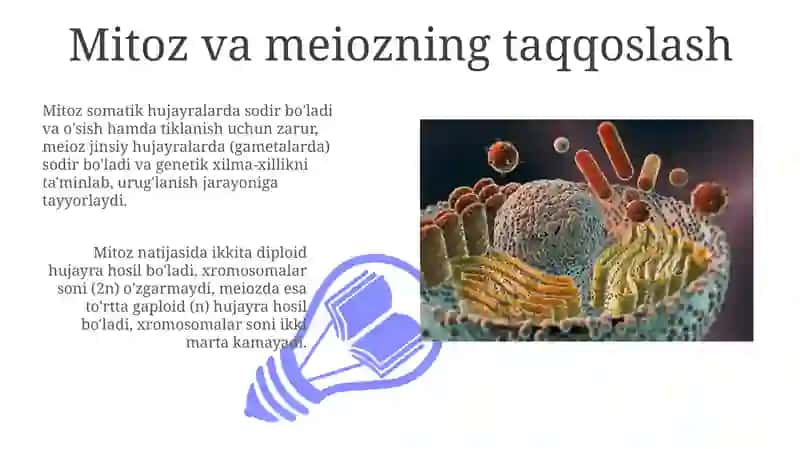 Hujayra proliferatsiyasi.Hujayraning mitotik sikli.Mitoz va meyozning patologiyasi 3