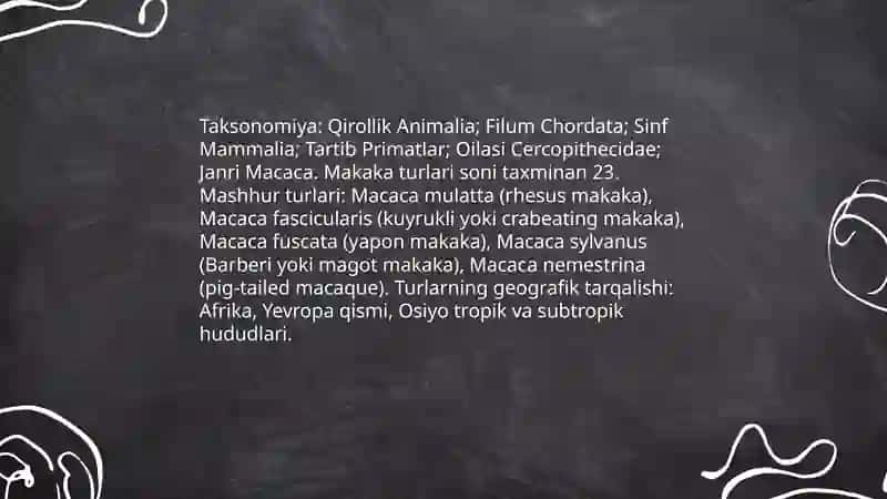 Makaka 3