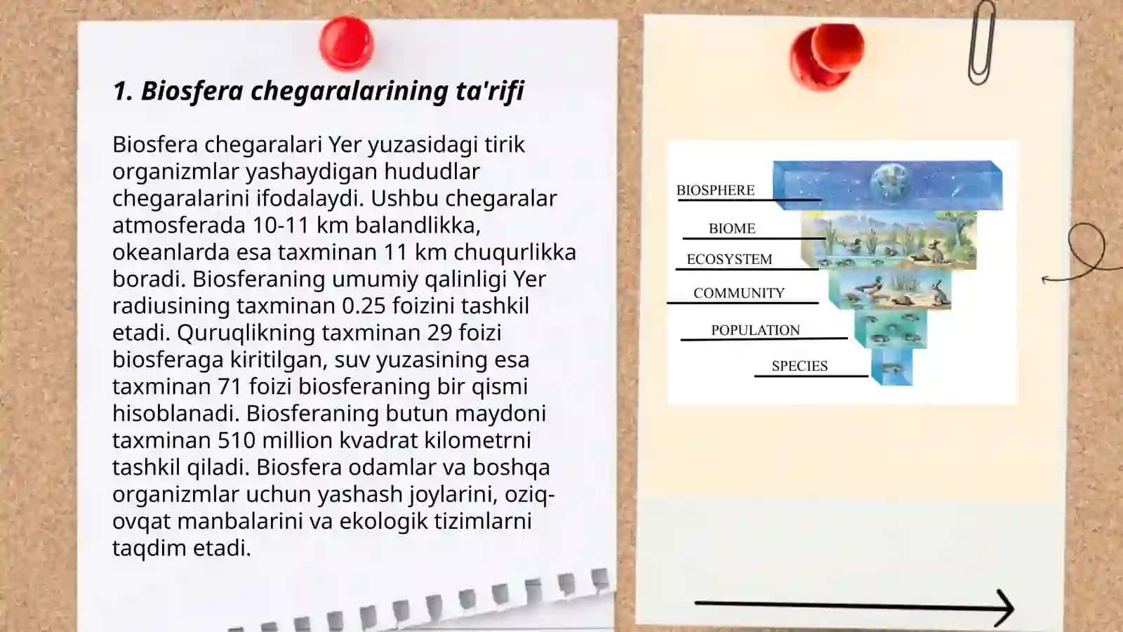 Biosfera chegaralari 3