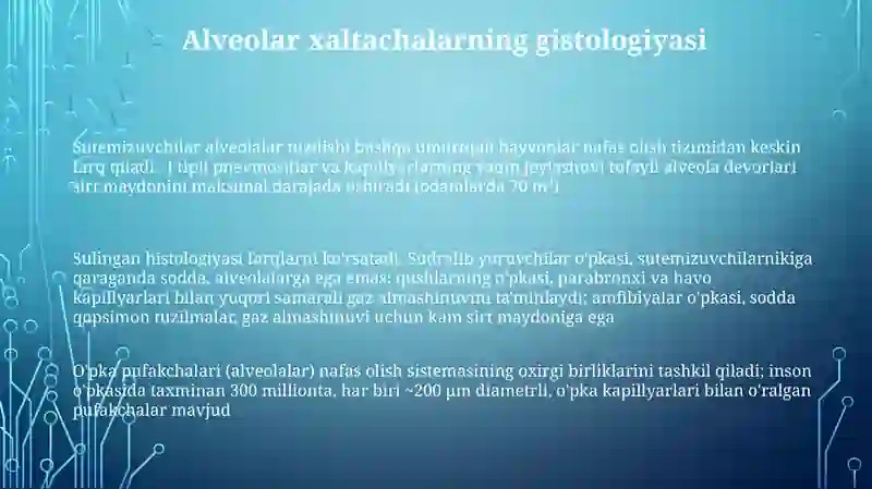 Nafasolishaʼzolarining qiyosiysgistalogik tavsifi 3