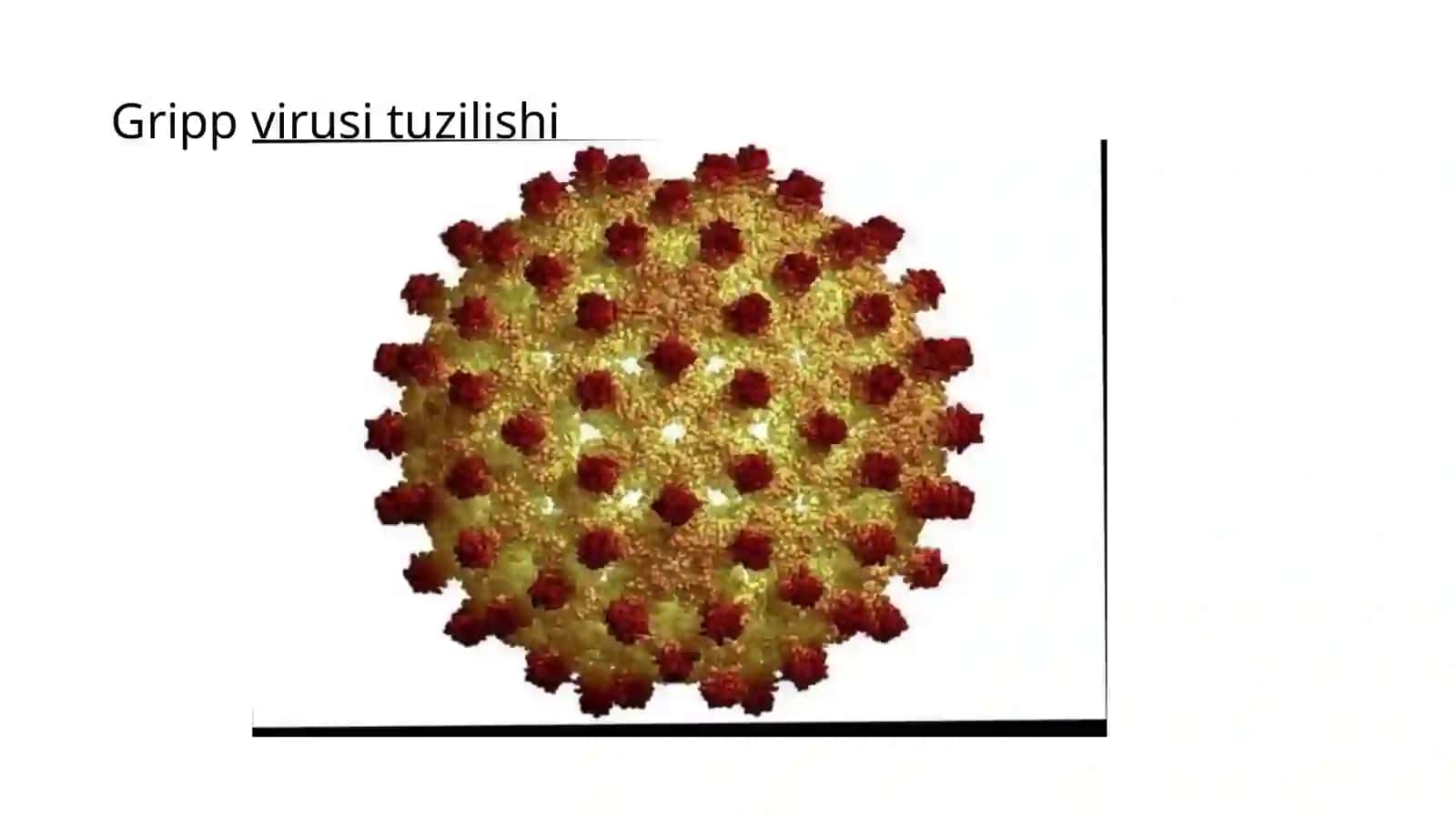 Gripp, Paragripp, Epidemik parotit, Qizamiq RS – viruslari, Poliomielit, Quzgatgankasalliklar tashkili, Labarator diognostikasi 3