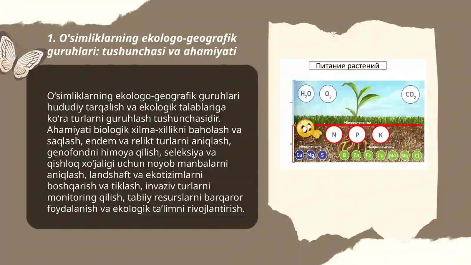 O'simliklarning ekologo-geografik guruhlari va navlarininh tarkibi 3