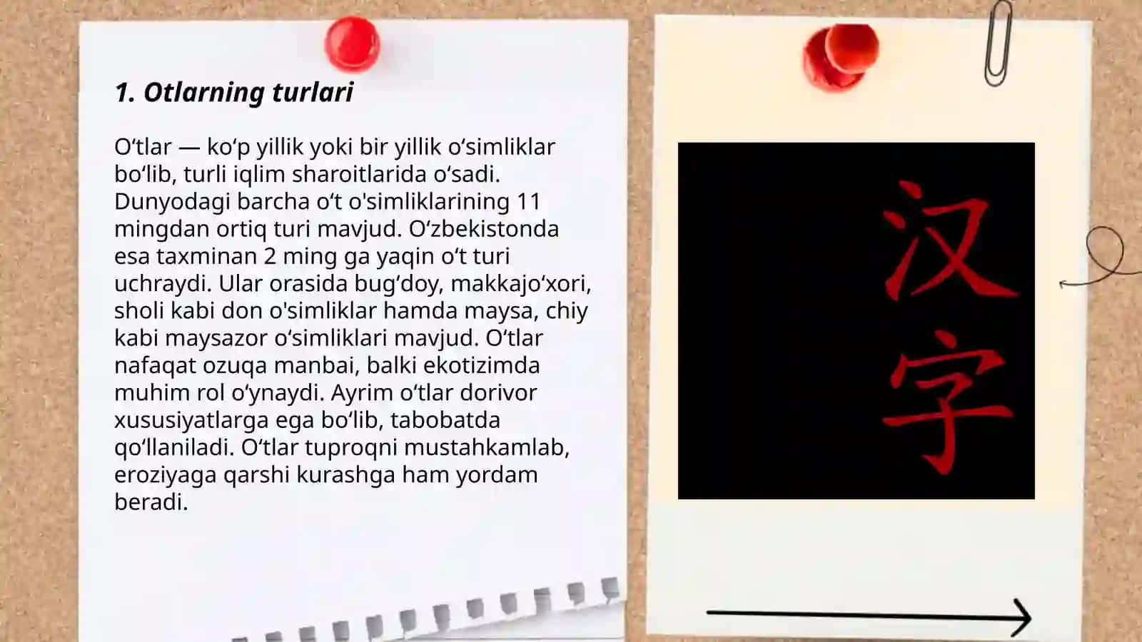 Xitoy va oʻzbek tillarida «Ot soʻz turkumi» 3