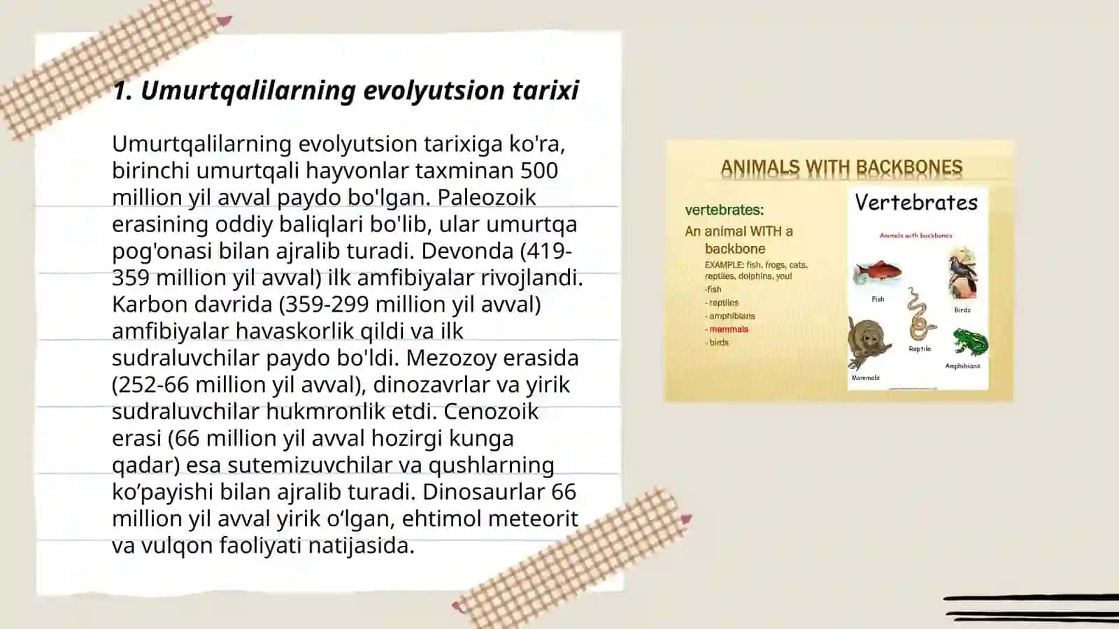 Umurtqalilarning kelib chiqishi 3