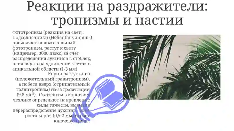 Анатомия физиология растений. Признаки жизни 3
