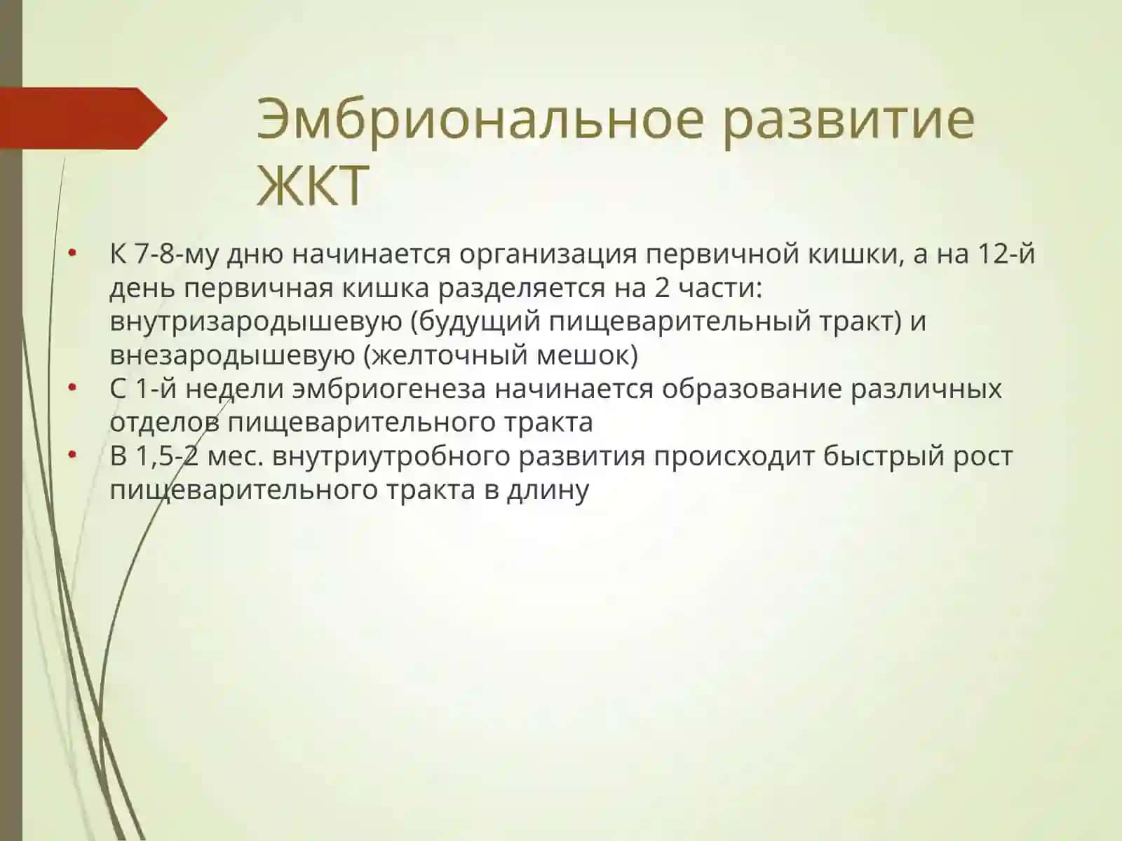 АФО Органы пищеварения у детей 3