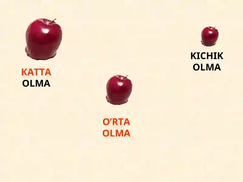 OLMA 3