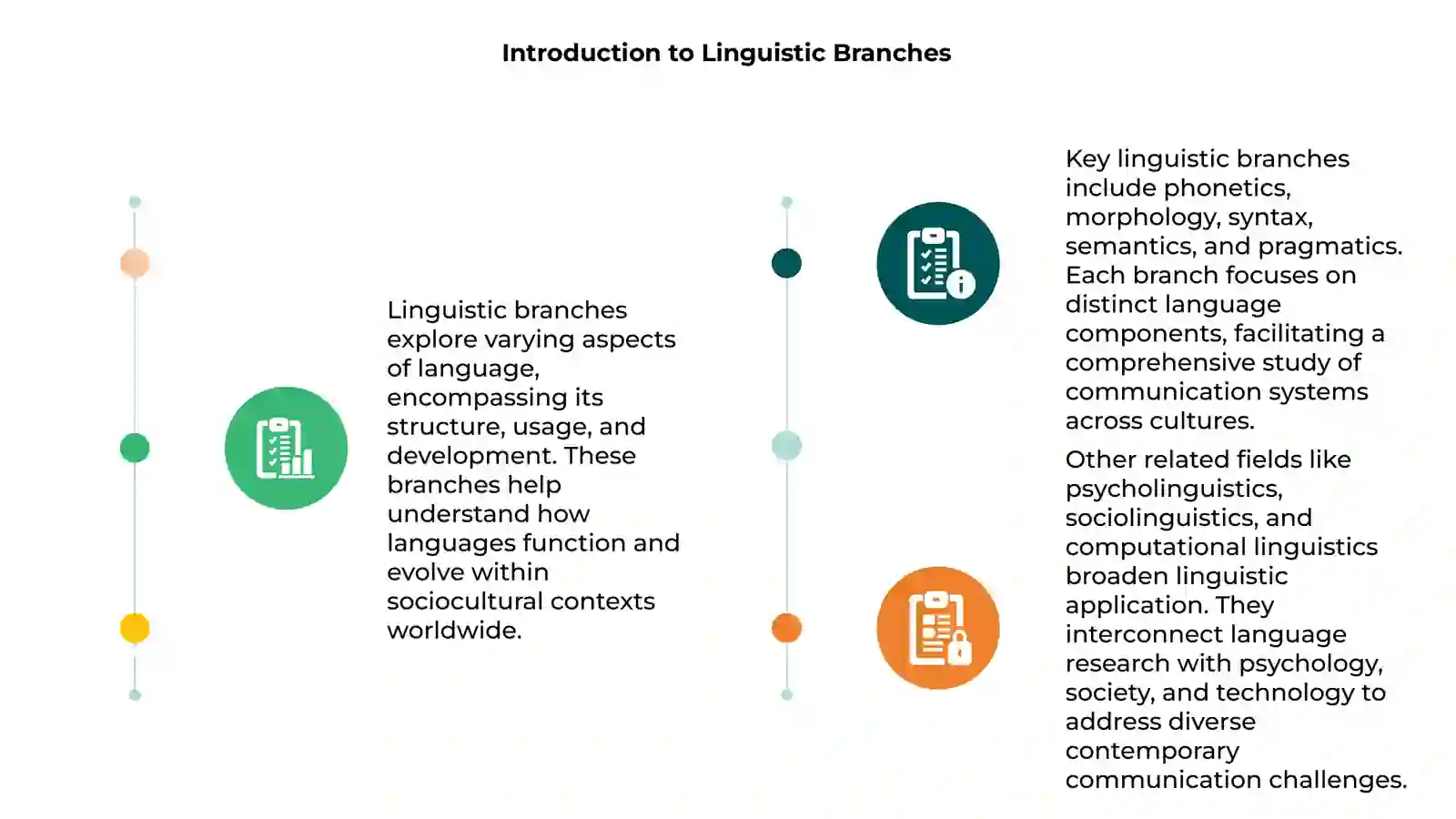 Branches of linguistic 3