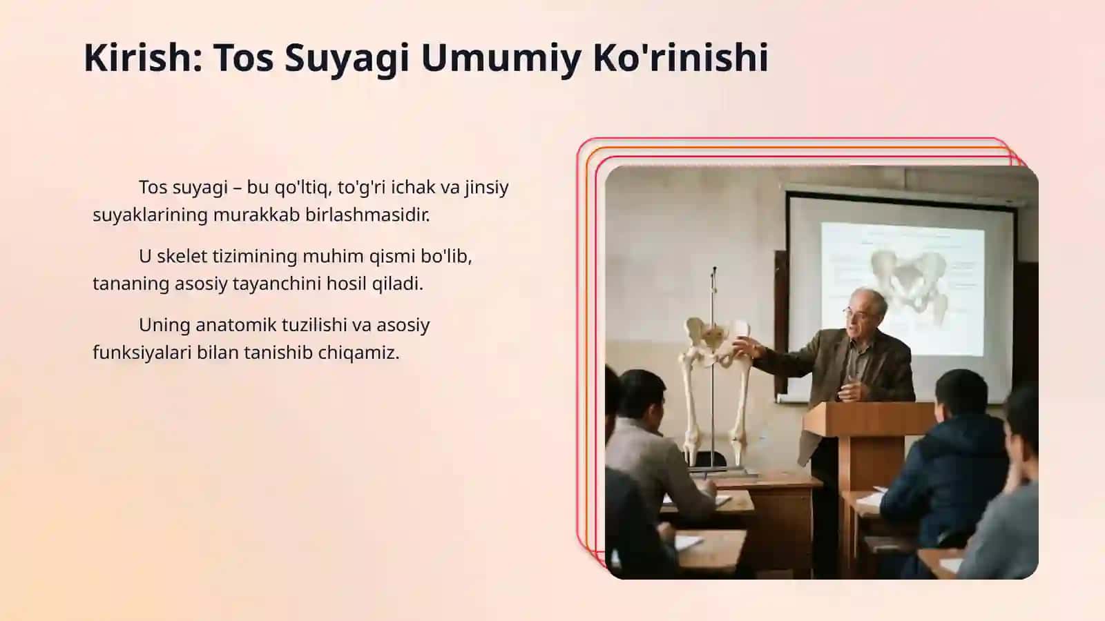 Chanoq kamari va oyoqning erkin suyaklari 3