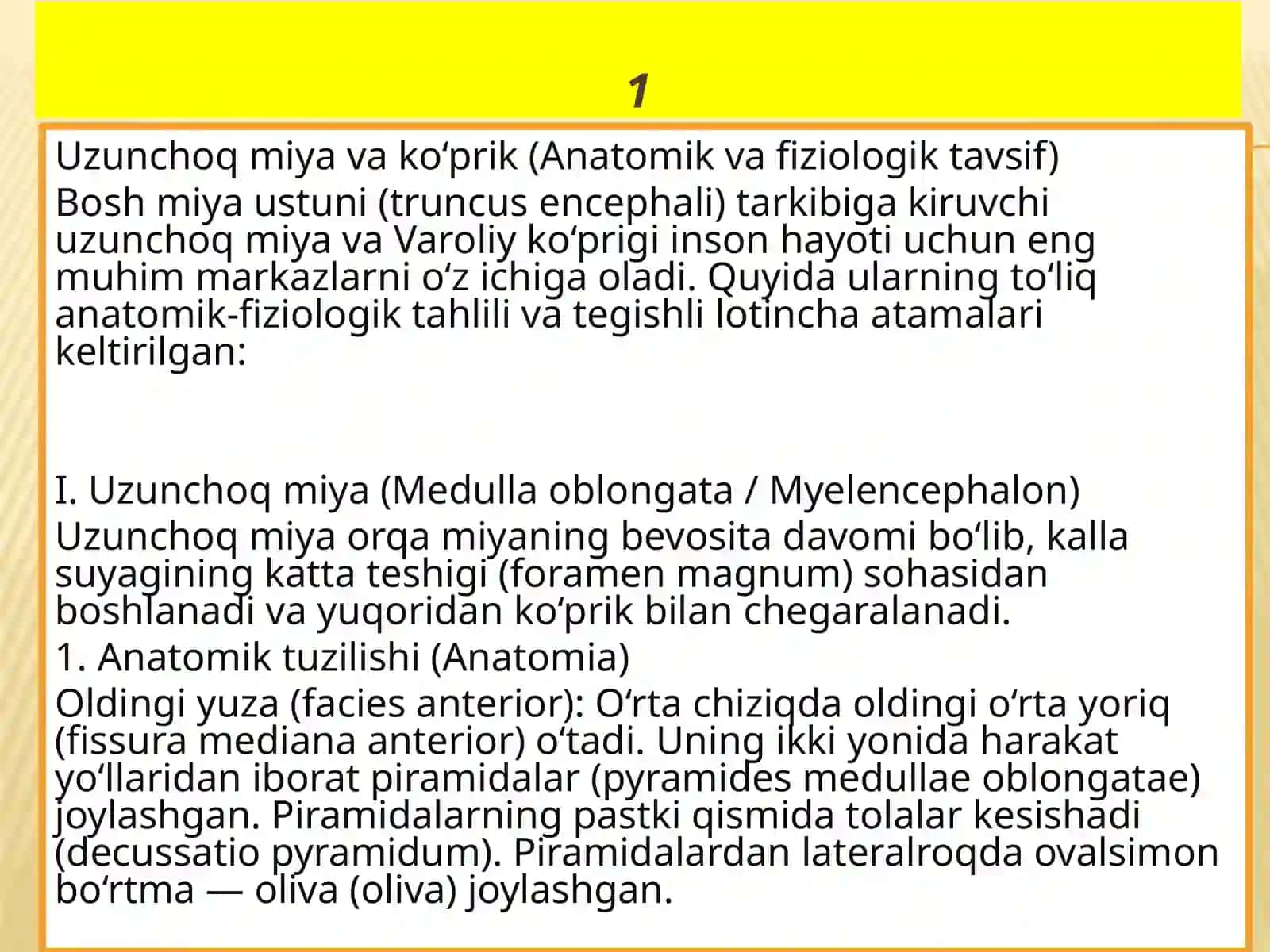 Uzunchoqmiyavako‘prik 3