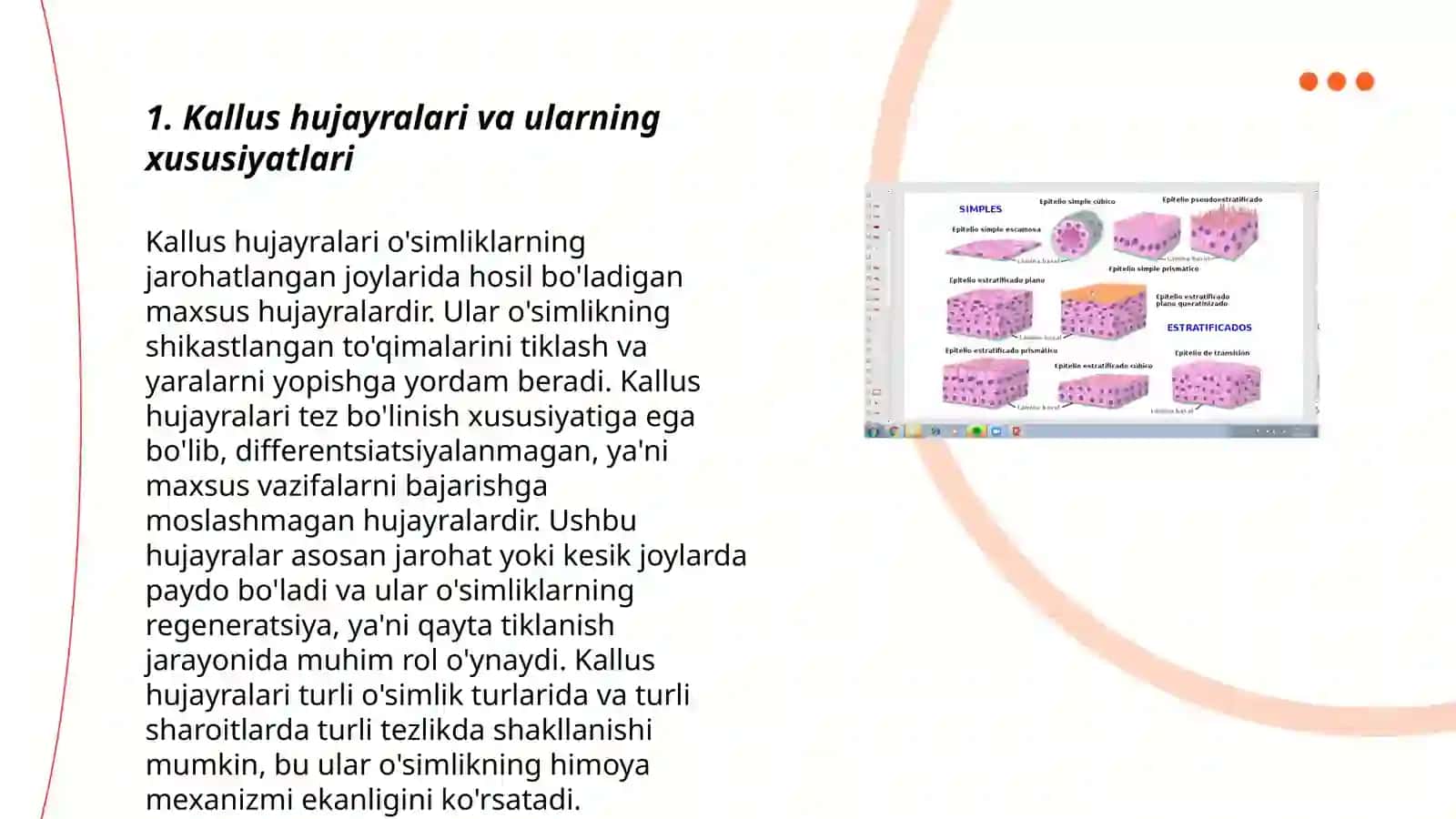 Kallus to'qimalar kulturasi haqida tushuncha 3