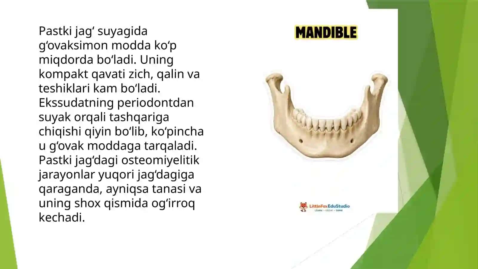 Yuqori va pastki jag'osteomiyeliti 3