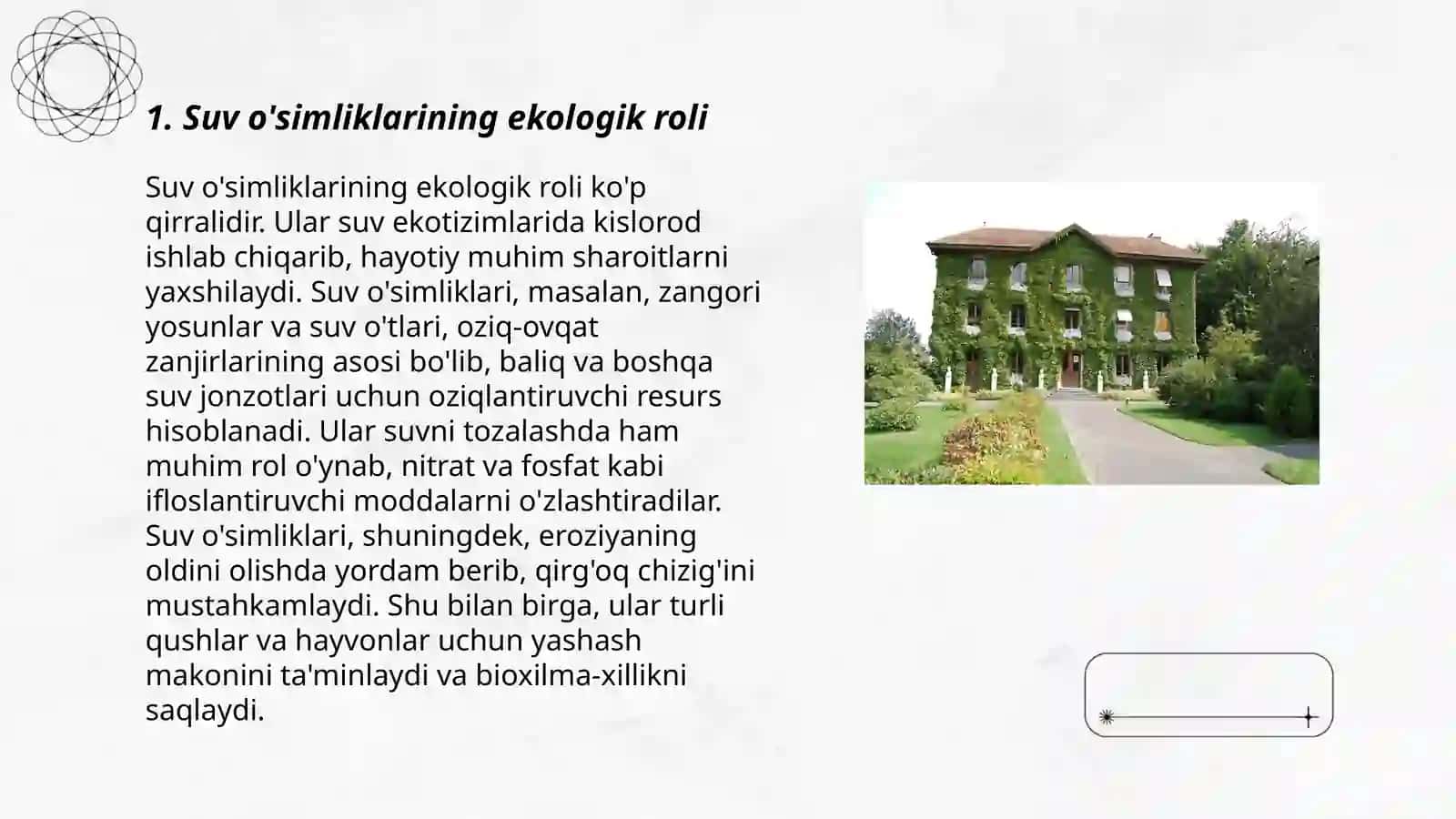 suv o'simliklarining xilma xilligi 3
