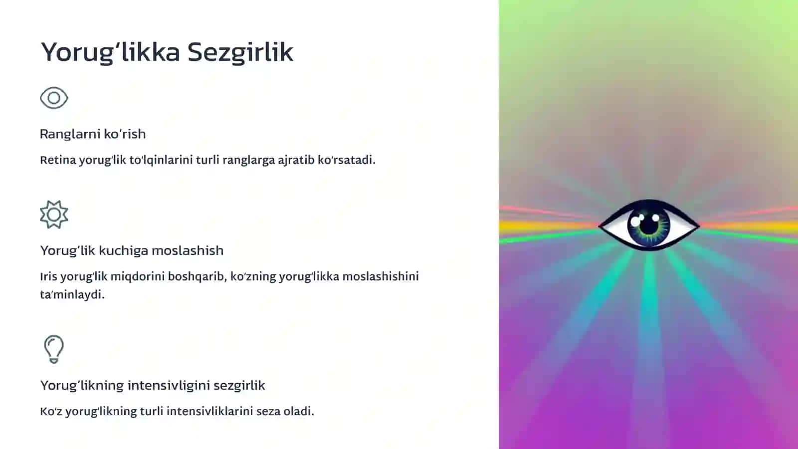 Koʻzning Optik Tizimi va Yorugʻlikka Tasiri 4
