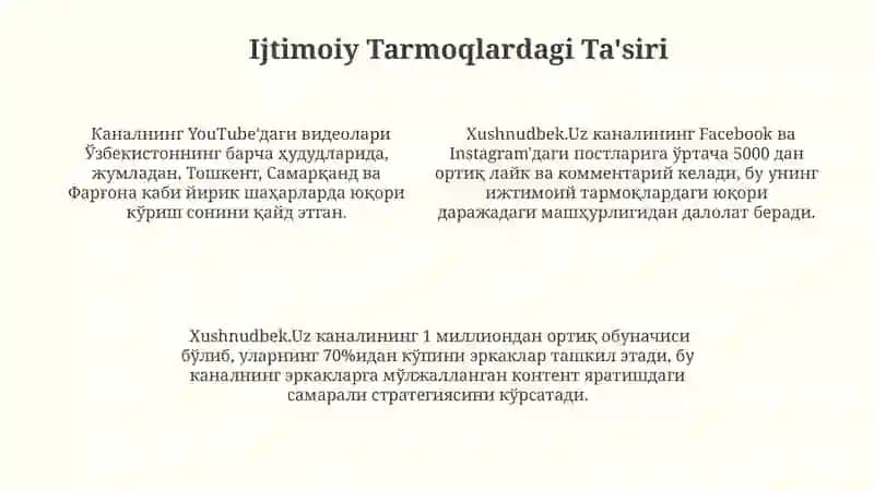 Xushnudbek.Uz Muvaffaqiyatining Sirlari 4