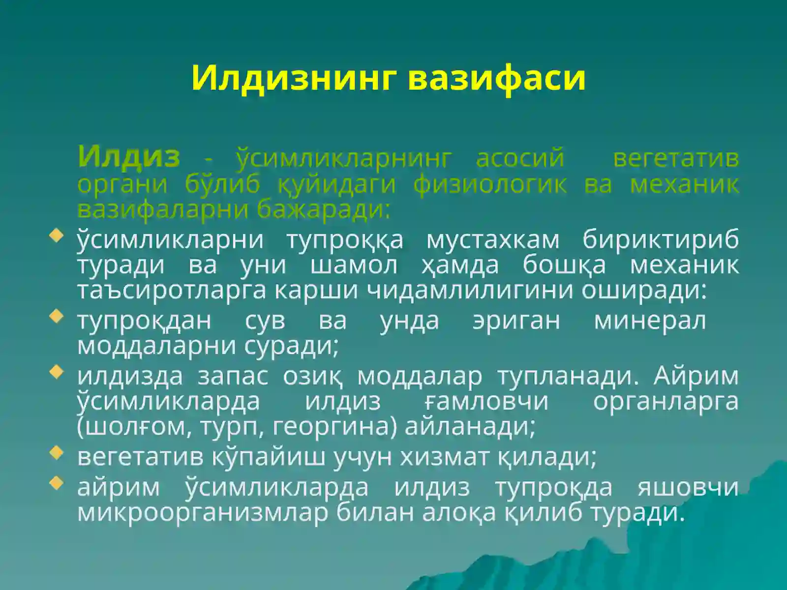 Preview 4