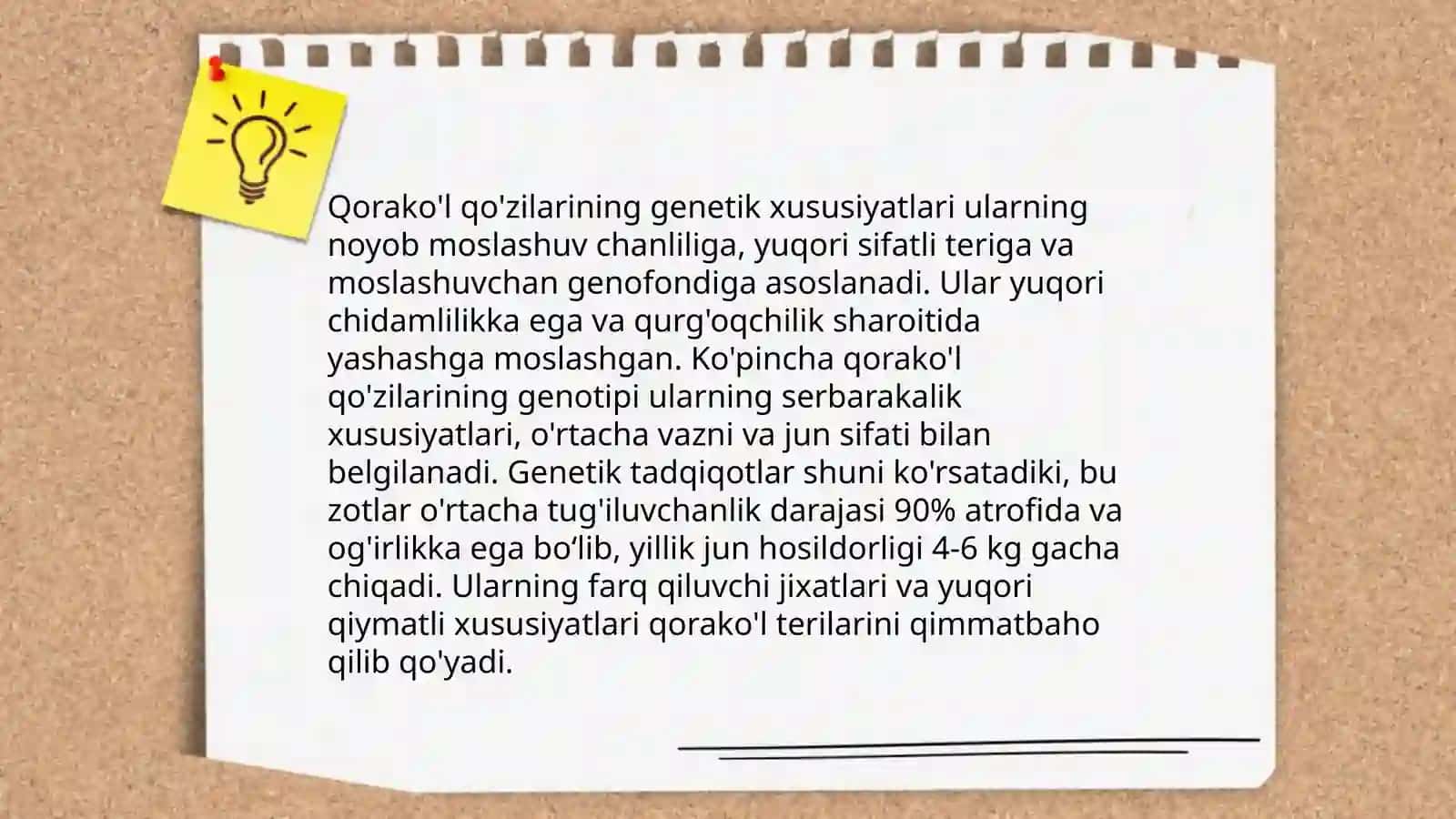 Qorako’l qo’zilarida barra tiplari 4