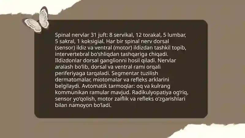 Periferik asab tizimi anatomiyasi fiziologiyasi zararlanish belgilari va uni tekshirish usullari 4
