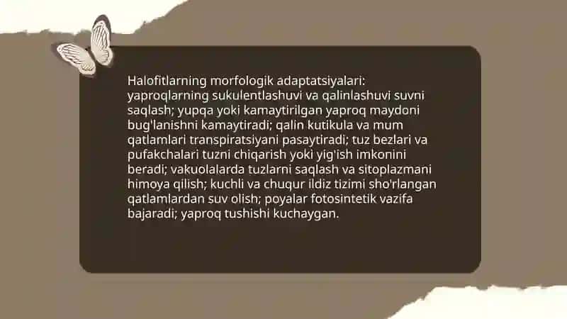 Sho'r suvlar ta'siriga chidamli o'simliklar (halofitlar) 4