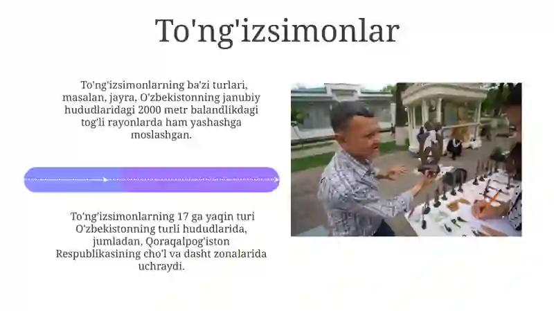 Sut emizuvchilar 4
