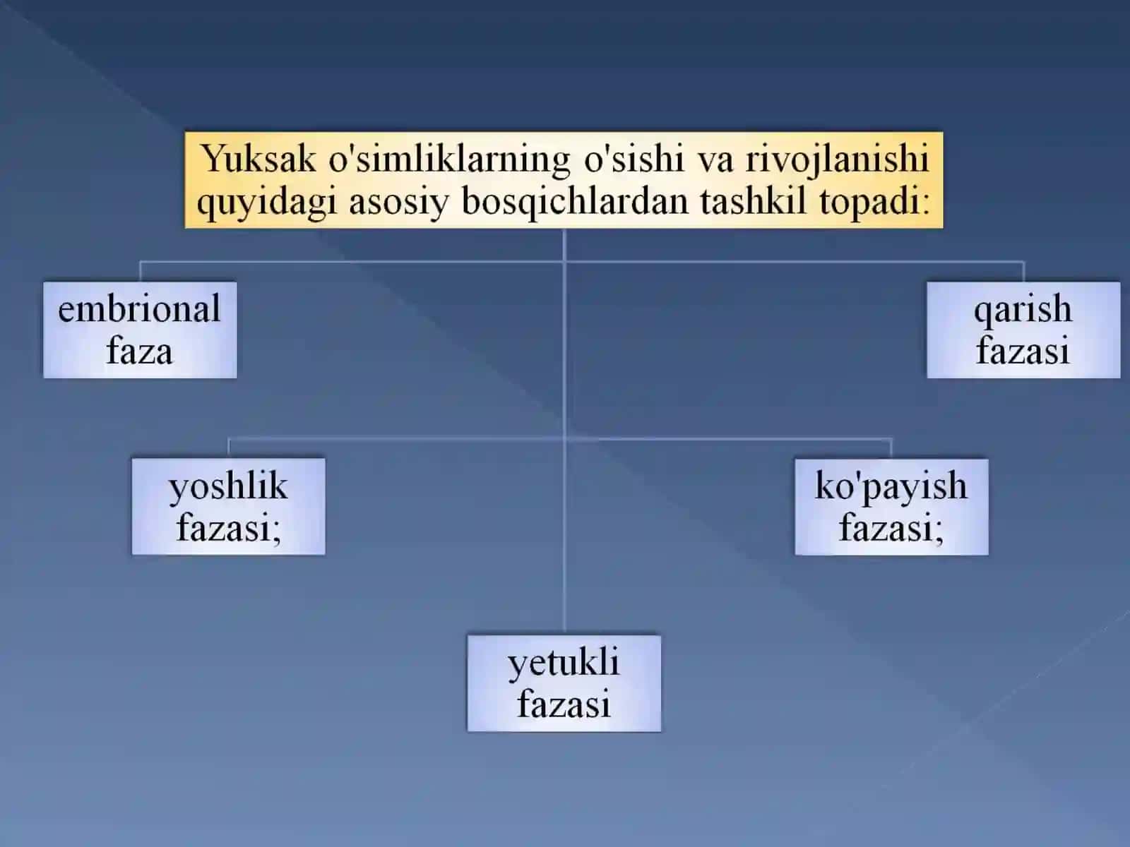 O’simliklarning o’sish va rivojlanish bosqichlari 4