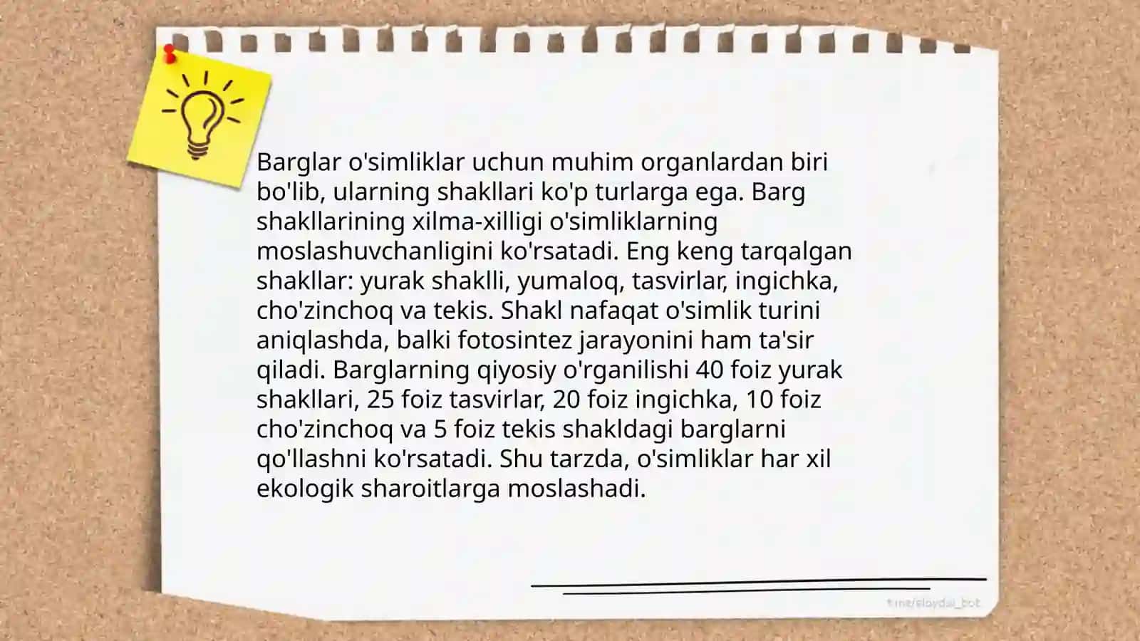 Bargning anatomik va morfologik tuzilishi 4