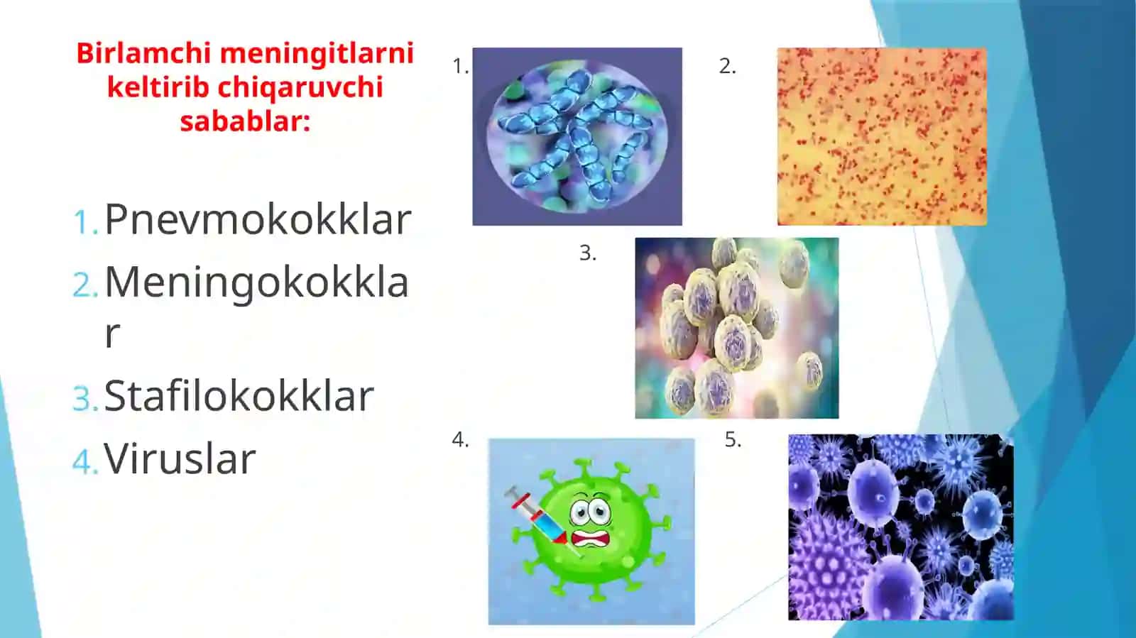 Meningitlar.Birlamchivaikkilamchimeningitlar 4